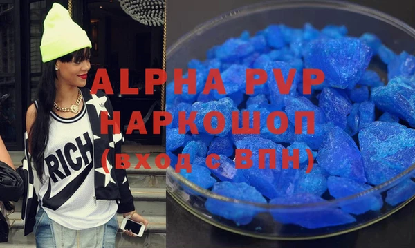 сатива Бородино