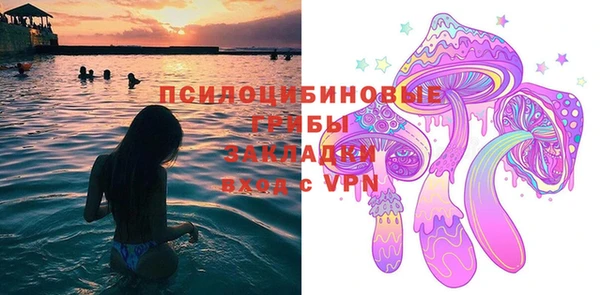 apvp Верхний Тагил